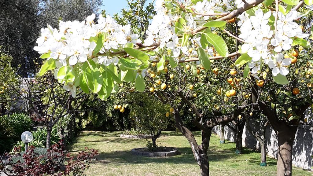Villa Kalimera Sorrento Kültér fotó