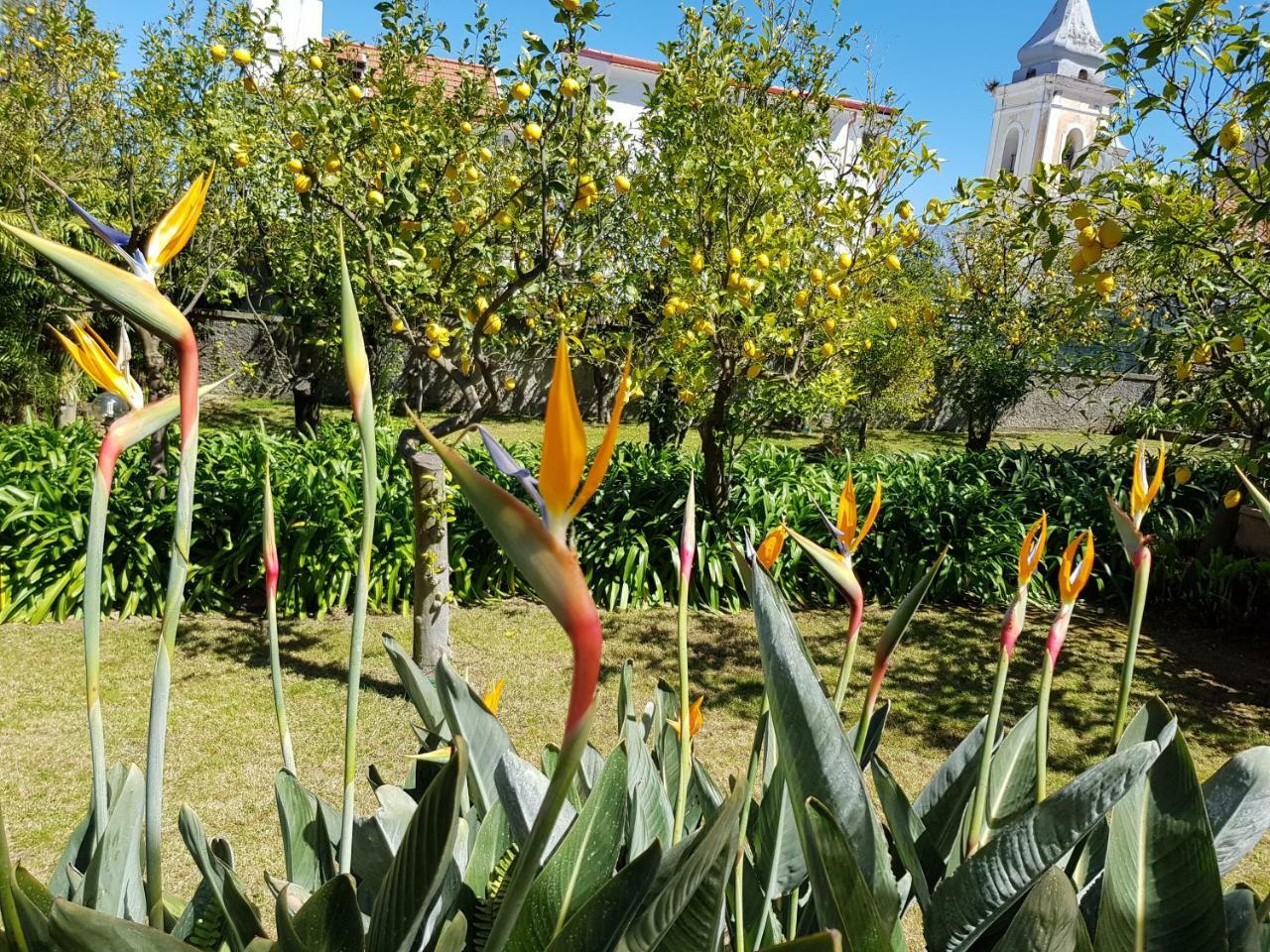 Villa Kalimera Sorrento Kültér fotó