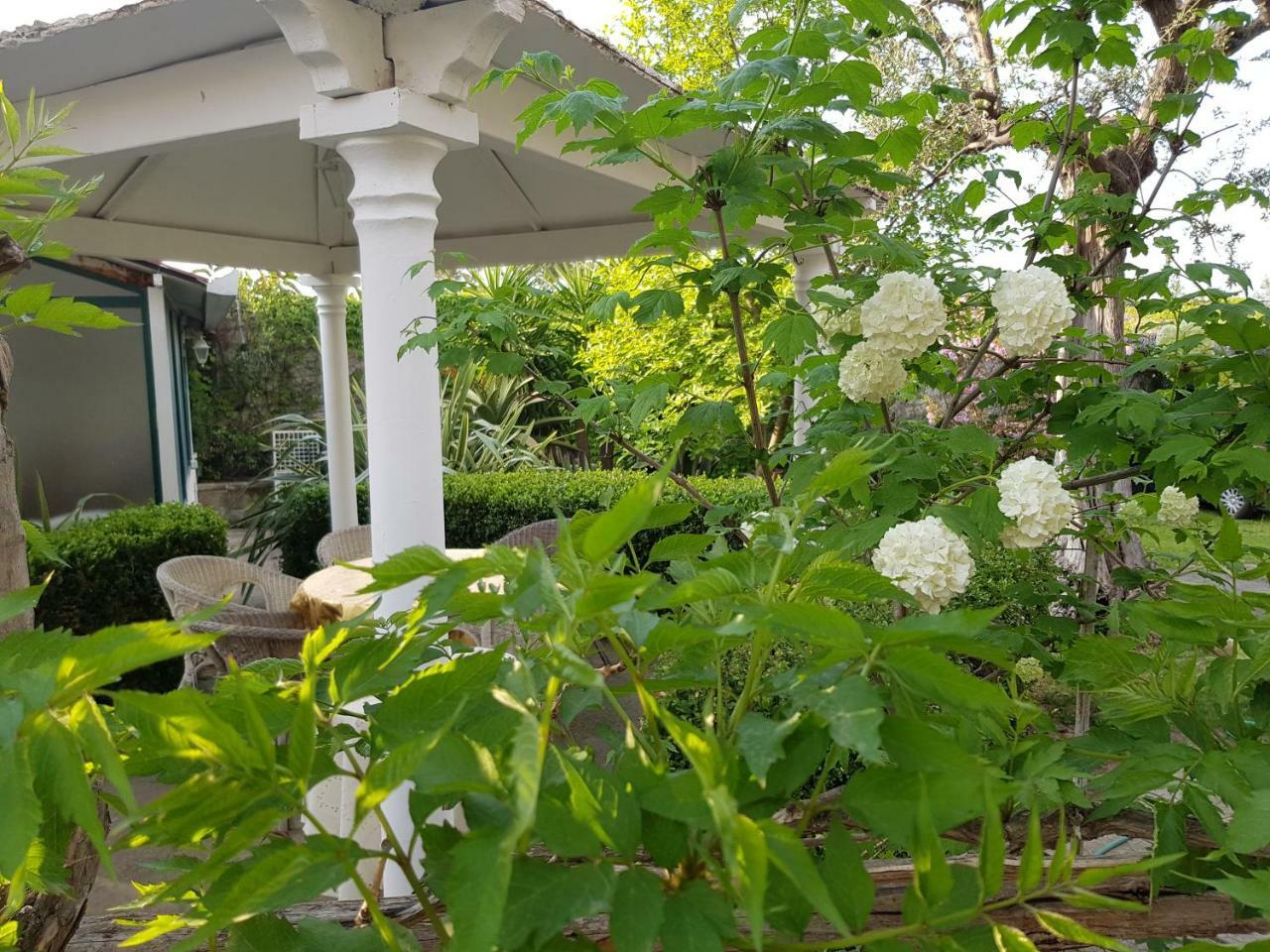 Villa Kalimera Sorrento Kültér fotó