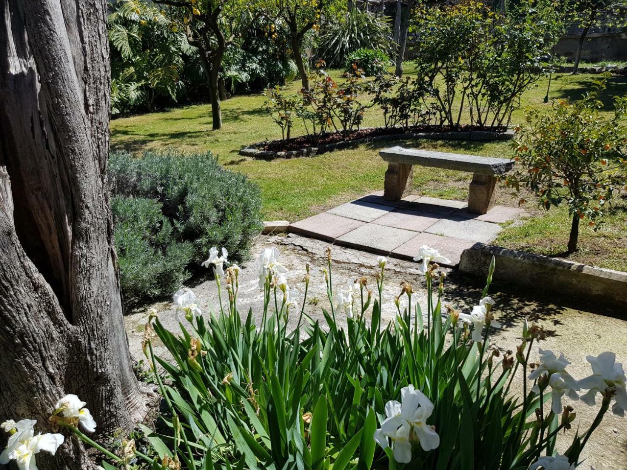 Villa Kalimera Sorrento Kültér fotó