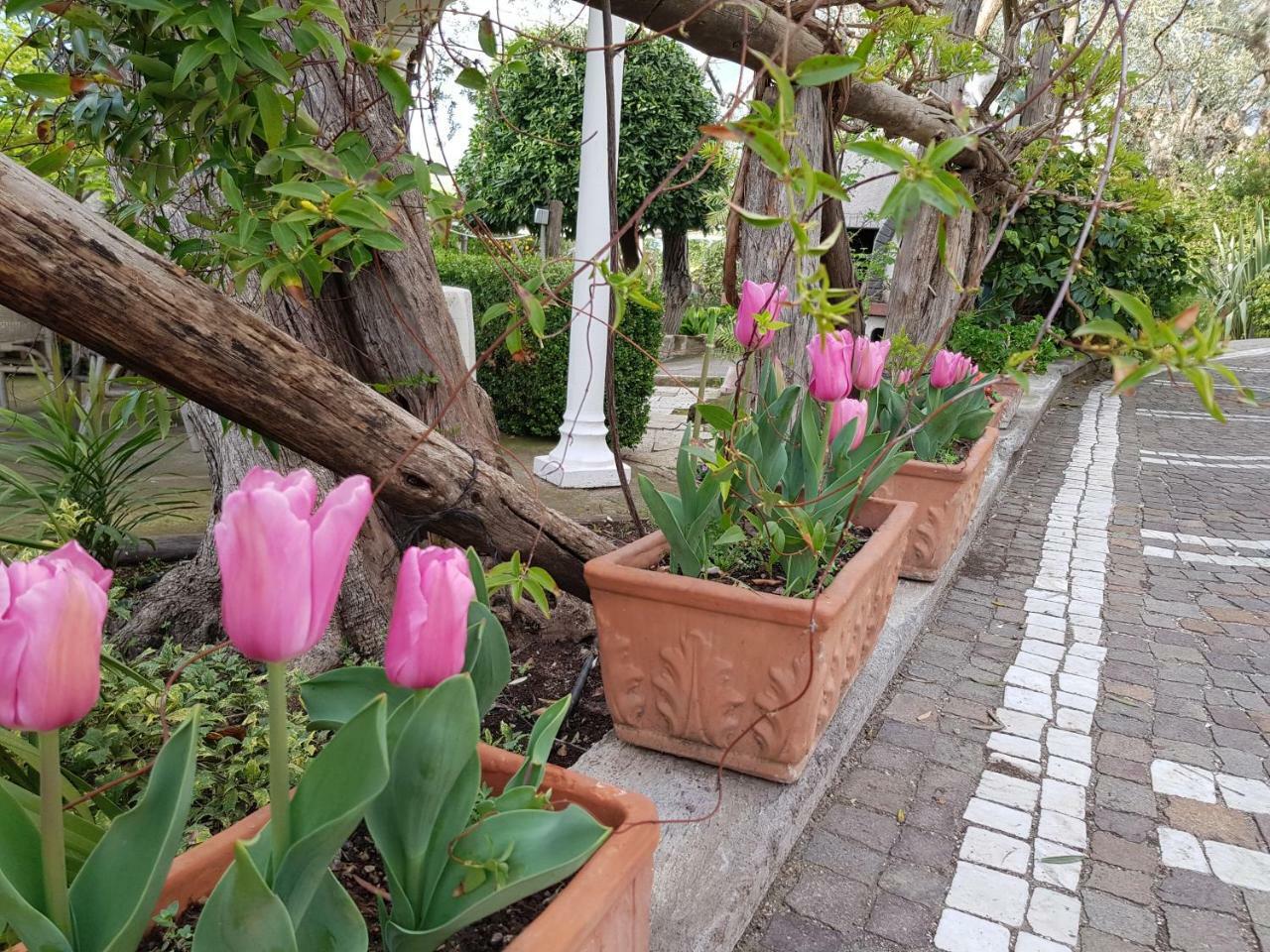 Villa Kalimera Sorrento Kültér fotó