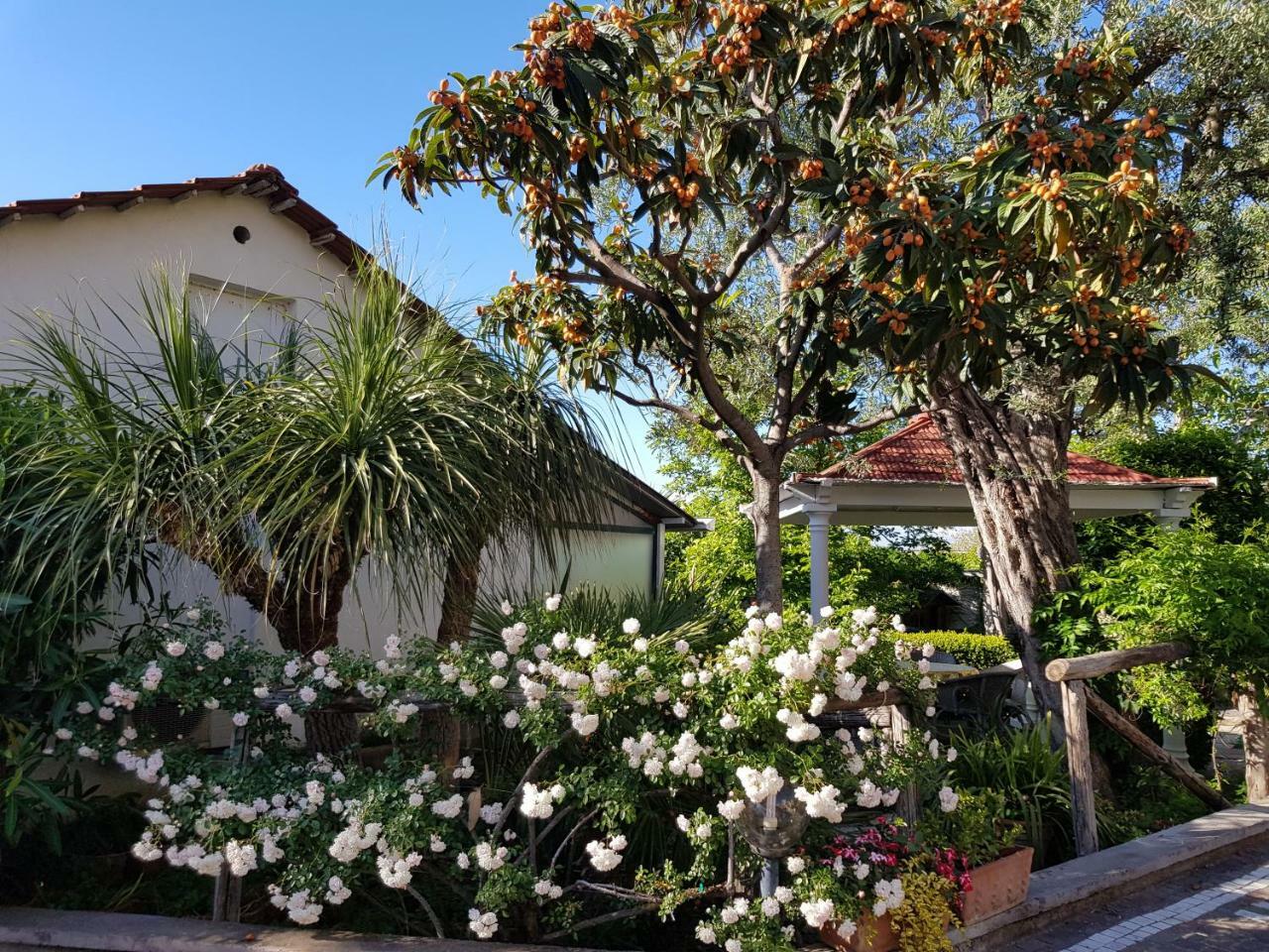 Villa Kalimera Sorrento Kültér fotó